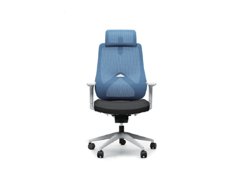 Marine Ergonomic Mesh Chair