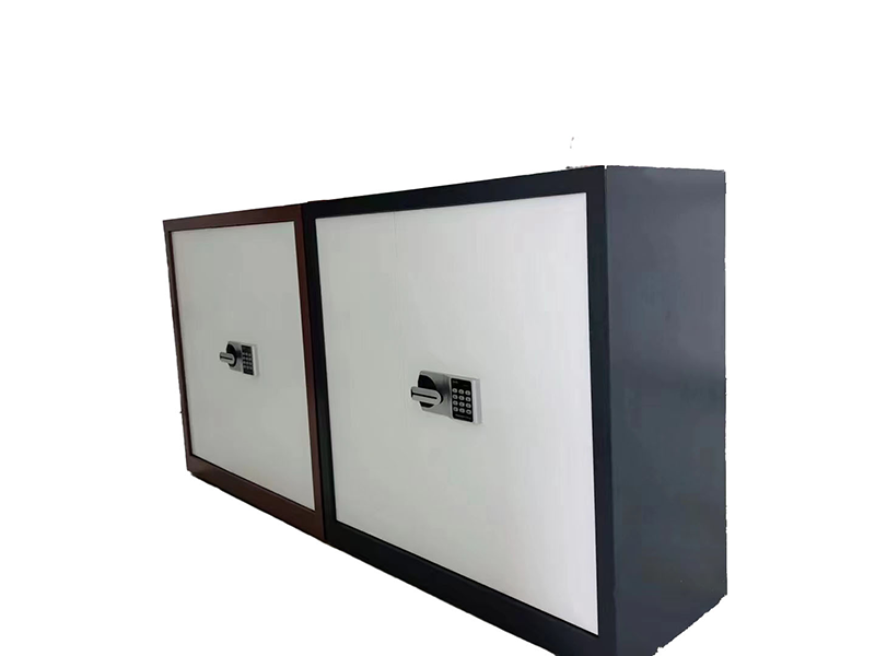 Marine Safe – Modular Wall Mount Security Cabinets（Dual – Tone）
