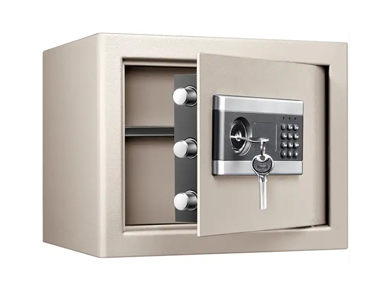 Marine Electronic Safe