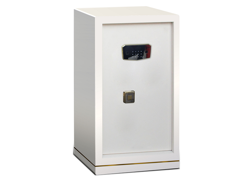 Marine Electronic Safe