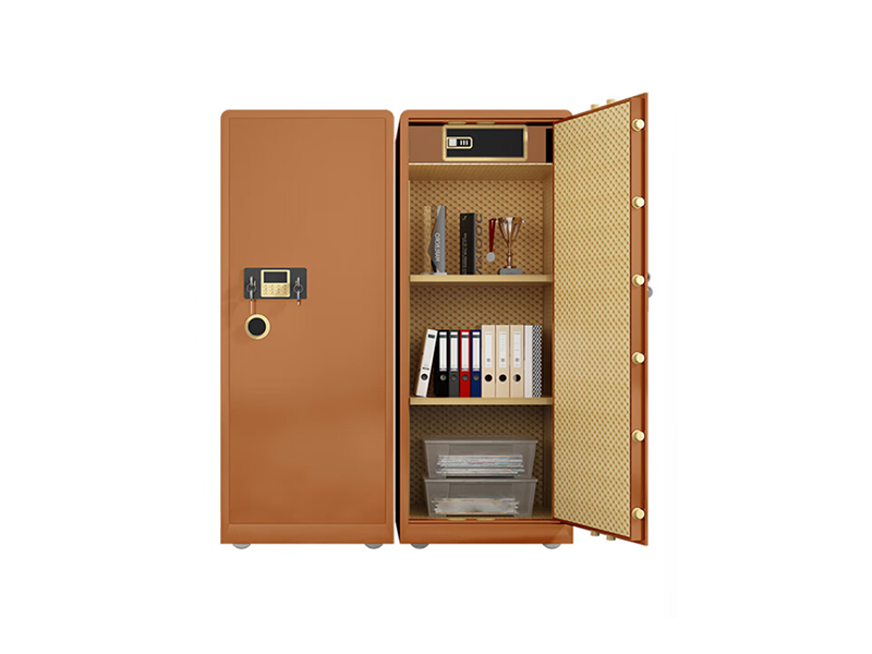 Marine Luxury Dual-Compartment Safe